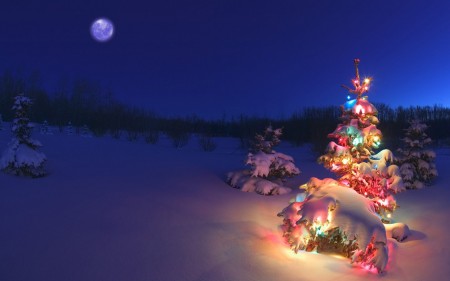 Feliz Navidad y próspero año nuevo 2016 (imagen obtenida por cortesía de bancodeimagenesgratis.com)