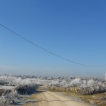 Foto 023. Camino de las Llagonicas. Diciembre 2013. 'La naturaleza disfrazada de blanco'.