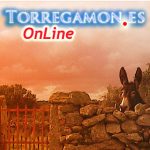 Torregamones Online