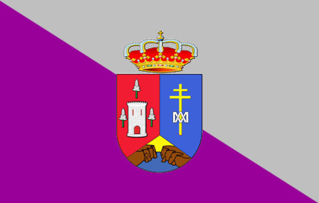 Bandera con Escudo de Torregamones